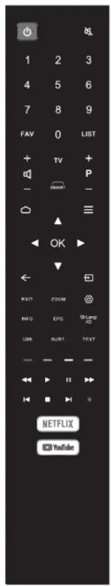 Krüger&Matz KM0250UHDS5 - TELECOMMANDE - 1