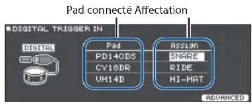 Pad connecté Affectation DIGITAL TRIGGER IN PD140DS CY18DR VH14D Assign SNARE RIDE HI-HAT ADVANCED