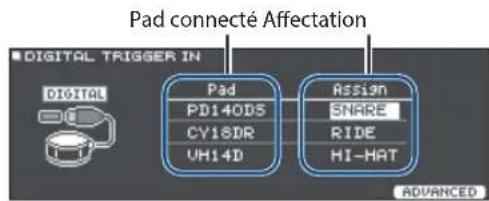 ROLAND TD27KV2 - Signaler un pad à connexion numérique (digital) - 1