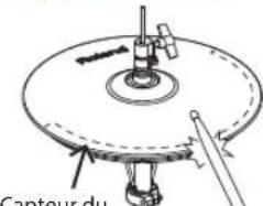 ROLAND TD17KVX2 - Frappe sur le bord - 1