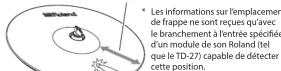 ROLAND CY12CT - Frappe sur le corps - 1