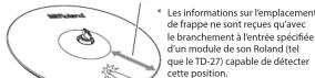 ROLAND CY14RT - Frappe sur le corps - 1