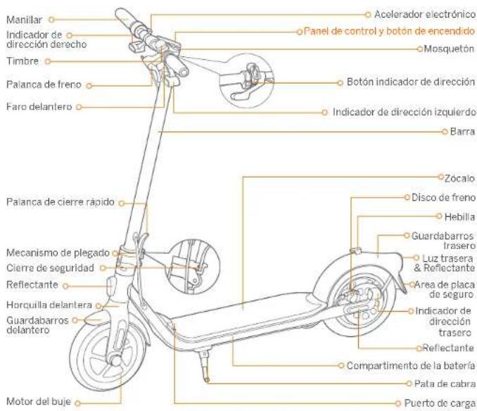 SEGWAY Ninebot KickScooters F25I - Programma di manutenzione consigliato - 2