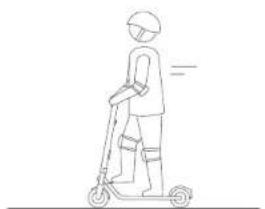 SEGWAY Ninebot KickScooter E45D - WARNING - 12