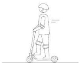 SEGWAY Ninebot KickScooter E45D - WARNING - 19
