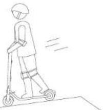 SEGWAY Ninebot KickScooter E45D - WARNING - 3