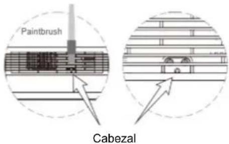 Paintbrush Cabezal
