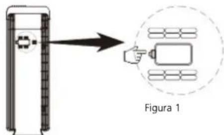 Figura 1