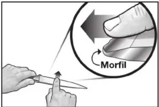 Morfil