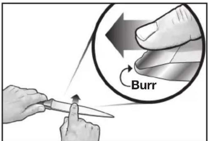 Burr