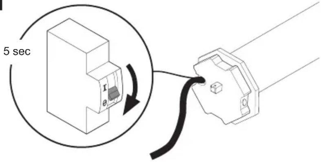Schellenberg 20036 - R - 1