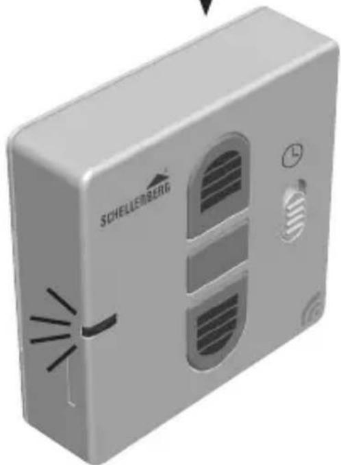 Schellenberg 20036 - 42. - 3