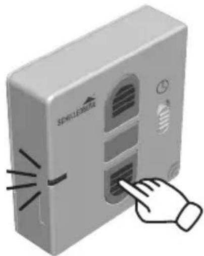 Schellenberg 20036 - T - 1