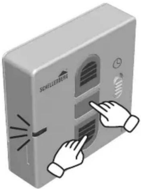 Schellenberg 20036 - SCHELLENBERG - 1