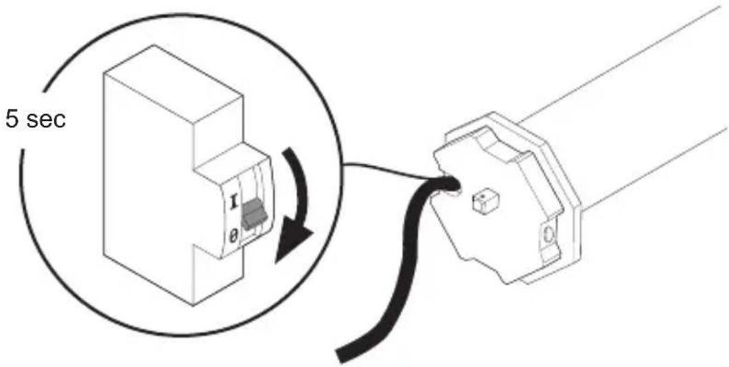 Schellenberg 20036 - 9. - 1
