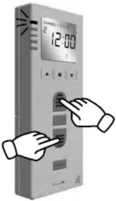 Schellenberg 20037 - SCHELLENBERG - 1