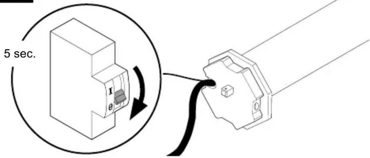 Schellenberg 20037 - Q - 1