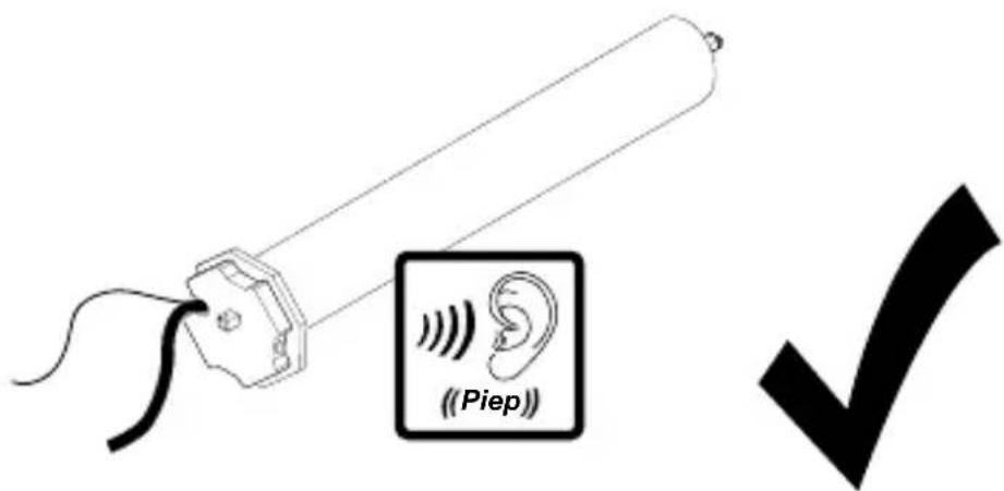 (Piep)