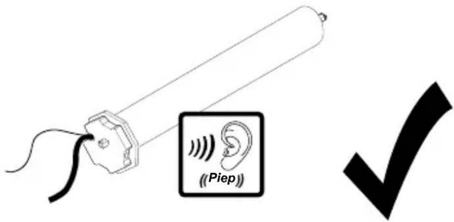 (Piep)