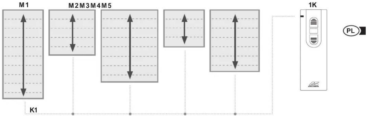 Schellenberg 21240 - 5-kanałowy 1-kanałowy - 2