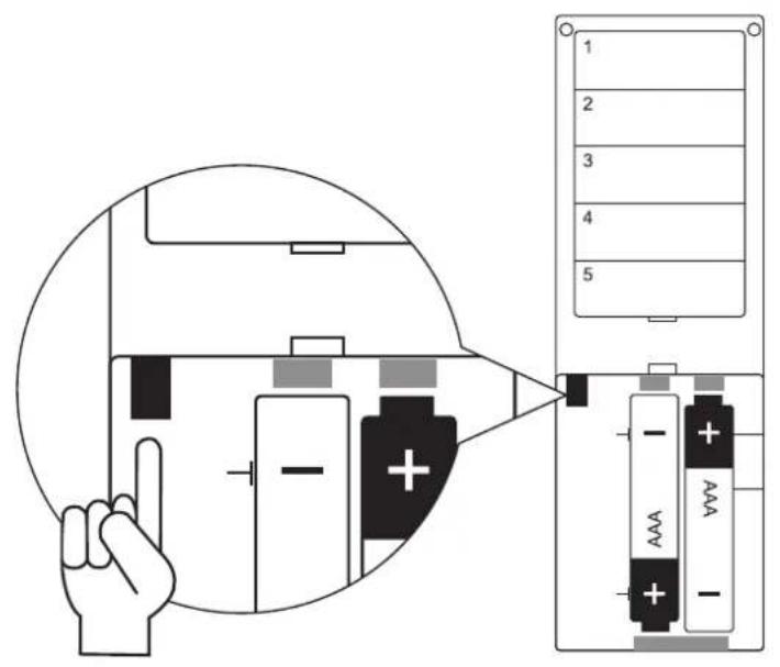 Schellenberg 21220 - 33. - 4