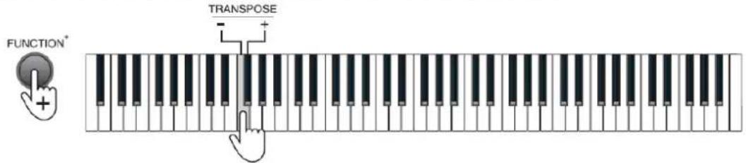 MAX KB6W - Transpose - 1