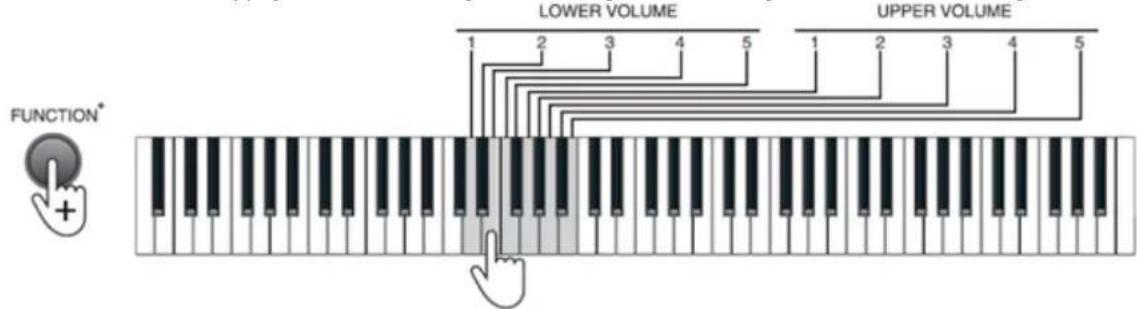 MAX KB6W - OCTAVE - 3