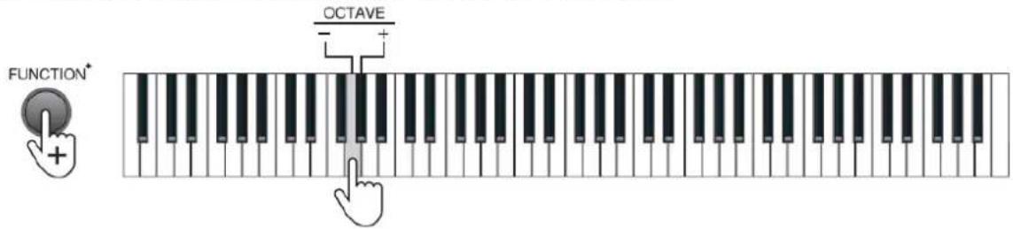 MAX KB6W - OCTAVE - 1