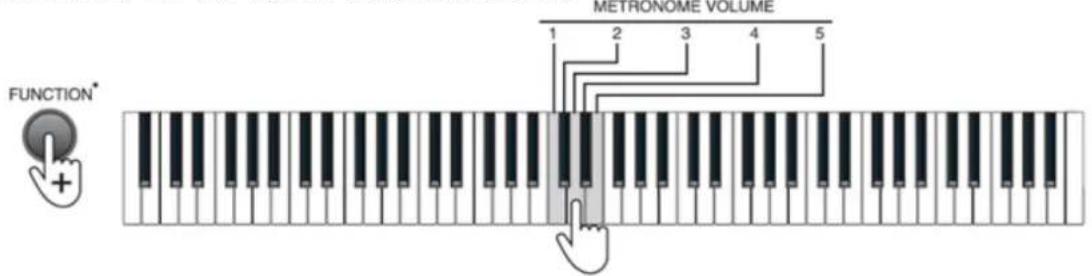 MAX KB6W - Metronome volume - 1