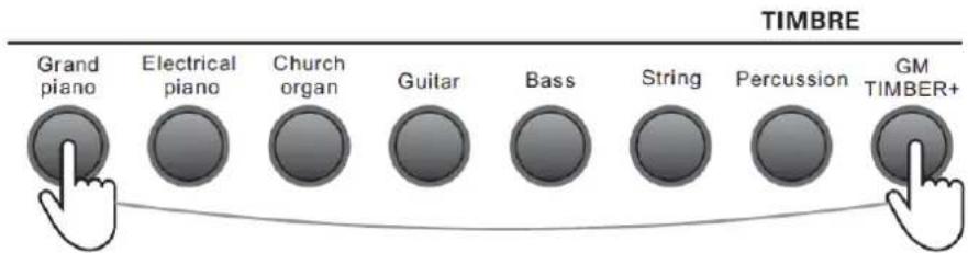 MAX KB6W - DUAL TIMBRE - 1