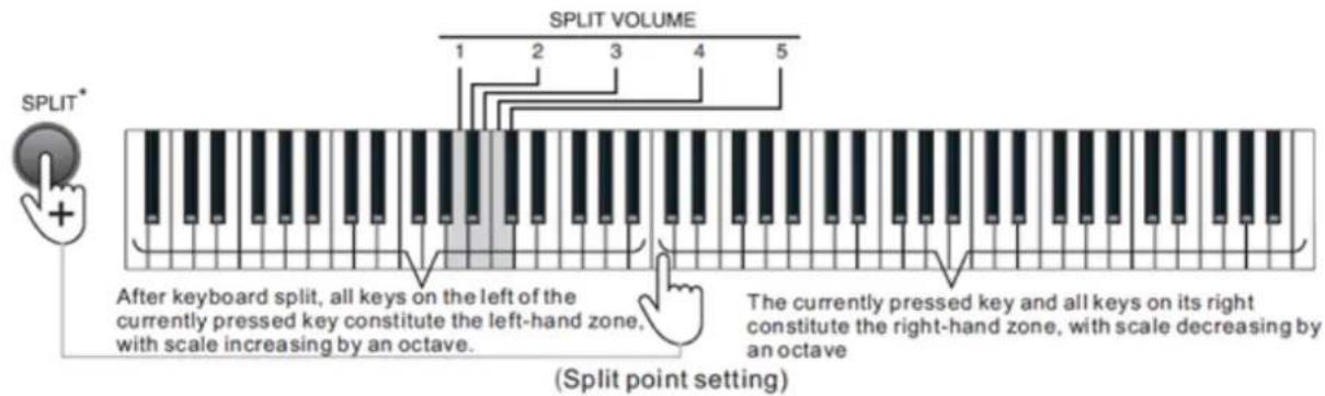 MAX KB6W - METRONOME - 3
