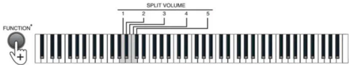 MAX KB6W - OCTAVE - 2