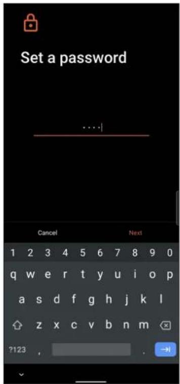 ASUS ROG Phone 6 Pro - Mot de passe - 1
