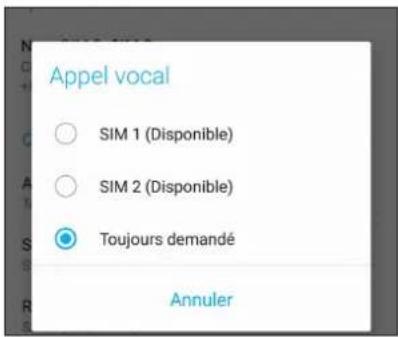 Appel vocal SIM 1 (Disponible) SIM 2 (Disponible) Toujours demandé Annuler