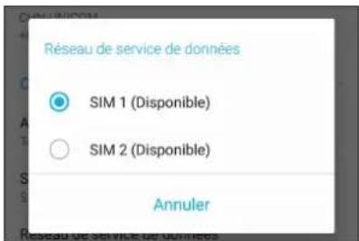Réseau de service de données SIM 1 (Disponible) SIM 2 (Disponible) Annuler