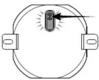 BRENNENSTUHL BrematicPRO APWT868 01 IP44 - 7