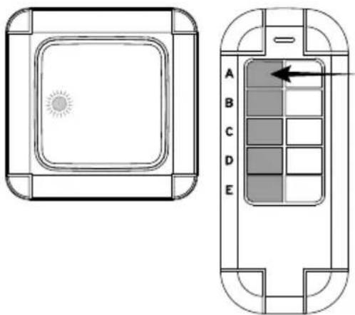 BRENNENSTUHL BrematicPRO UPWS 868 01 W1000 - Configurazione dell'interruttore via radio con incasso a parete al telecomando radio BrematicPRO - 1