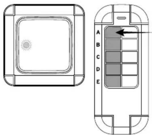 BRENNENSTUHL BrematicPRO UPWS 868 01 W1000 - Pairing the Wireless direct wire wall switch with the BrematicPRO Wireless Remote Control - 1