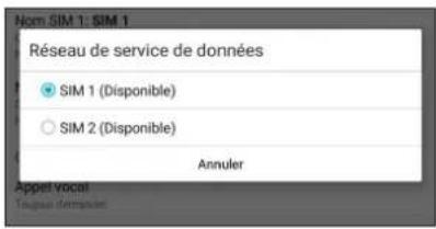 Nom SIM 1: SIM 1 Réseau de service de données SIM 1 (Disponible) SIM 2 (Disponible) Annuler Appet Vocal Térquée dépréciés
