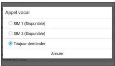 Appel vocal SIM 1 (Disponible) SIM 2 (Disponible) Toujour demander Annuler
