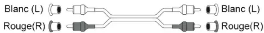 THOMSON TT300 - Sortie de ligne : - 1