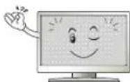 LG 55LH530V - ATTENTION - 24