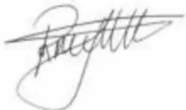 BESTRON ACHM200M - CE DECLARATION OF CONFORMITY - 1