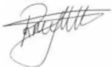 BESTRON ACHM200M - EU-CONFORMITEITSVERKLARING - 1