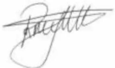 BESTRON ACHM200M - DECLARACION DE CONFORMIDAD CE - 1