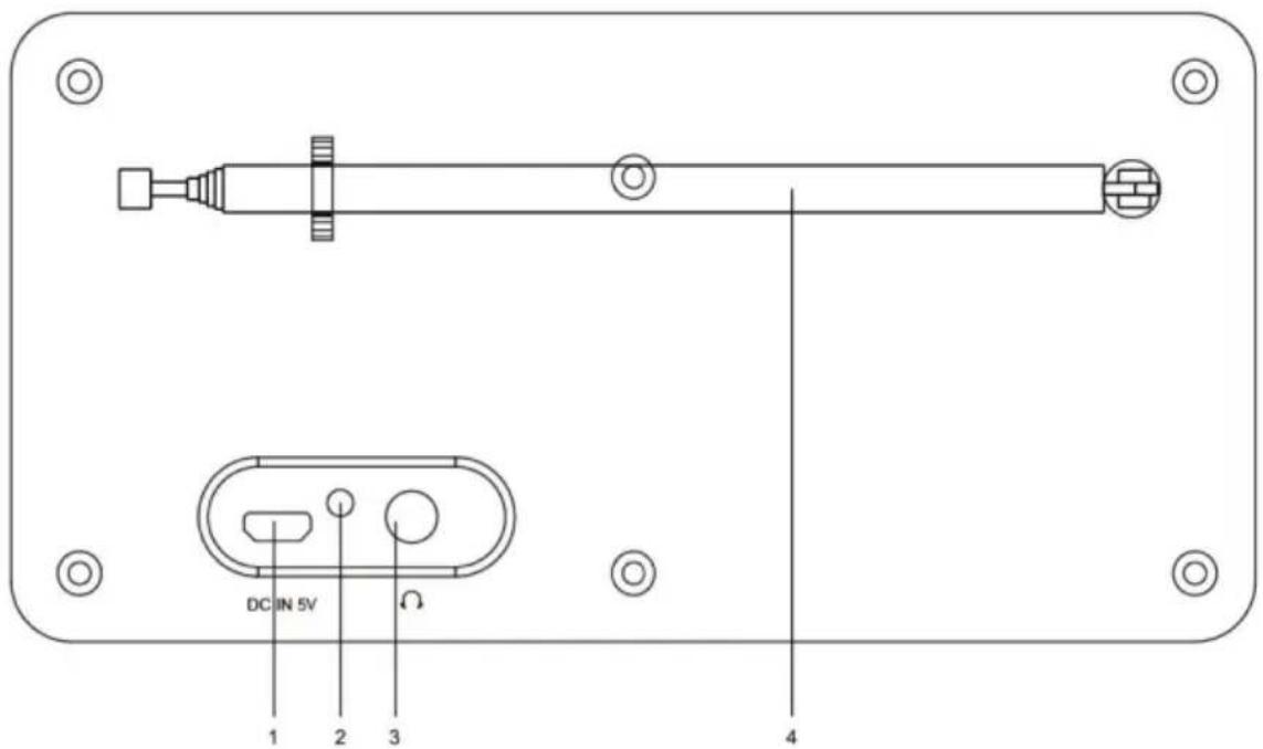 ALBRECHT DR 62 - Lato posteriore - 1