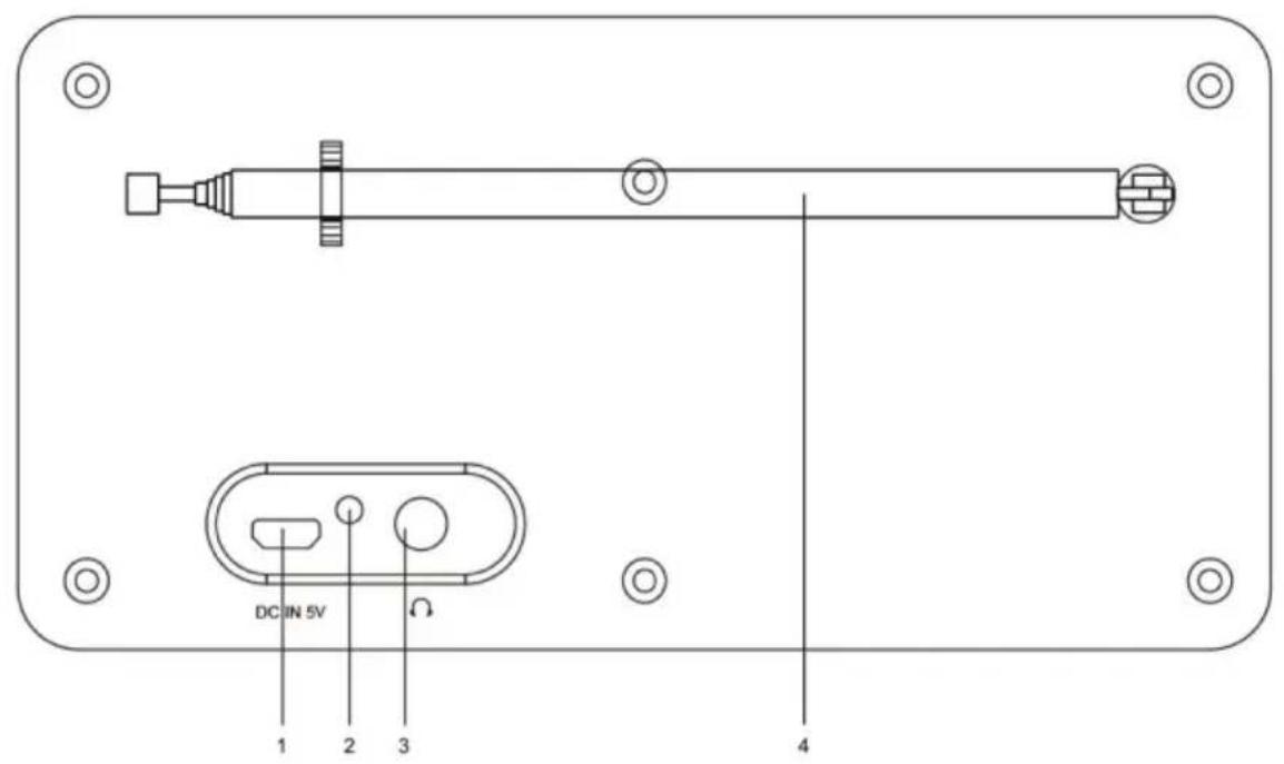 ALBRECHT DR 62 - 2.2.Backside - 2