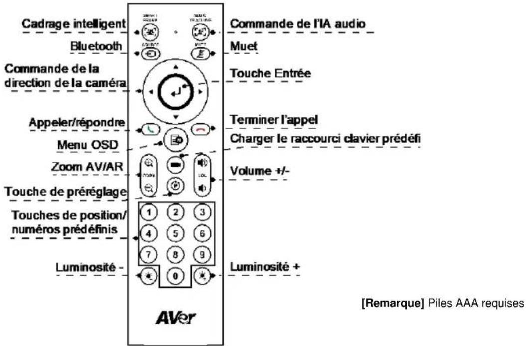 AVer VB342 Pro - Télécommande - 1