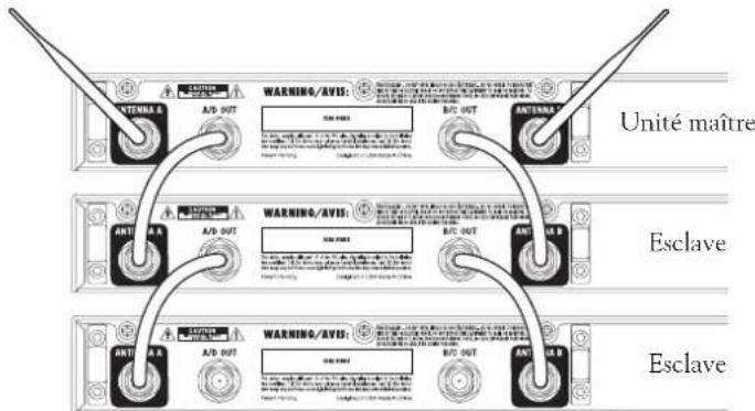 LINE 6 Relay G90 - Plusieurs systèmes avec distribution d'antennes - 1