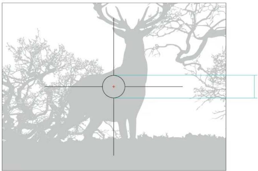 PULSAR Digisight Ultra N455 - 7